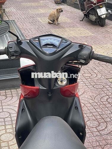 Bán xe Luvias Fi,Bst đời 2016,xe đẹp Gtdd