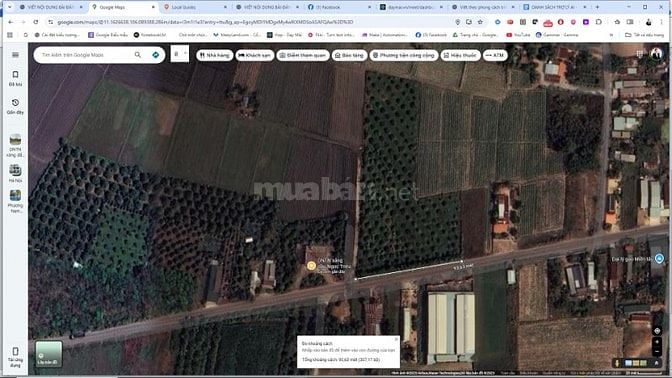 KHÔNG NGƯỜI CHĂM SÓC - CHÍNH CHỦ CẦN BÁN ĐẤT VƯỜN SẦU RIÊNG
