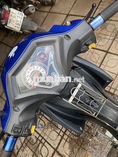 xe axilo rin chất