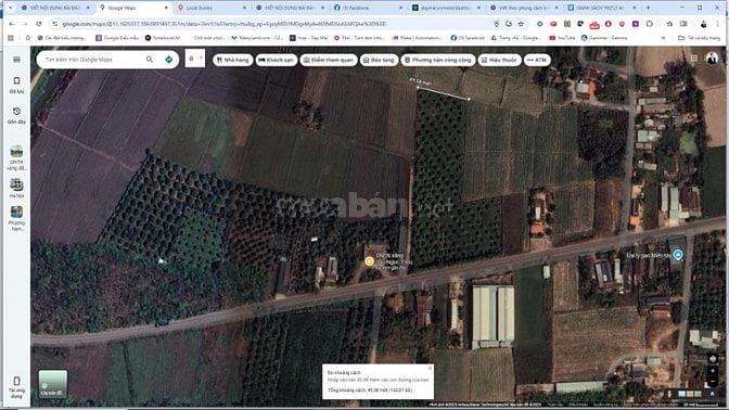KHÔNG NGƯỜI CHĂM SÓC - CHÍNH CHỦ CẦN BÁN ĐẤT VƯỜN SẦU RIÊNG