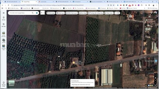 KHÔNG NGƯỜI CHĂM SÓC - CHÍNH CHỦ CẦN BÁN ĐẤT VƯỜN SẦU RIÊNG