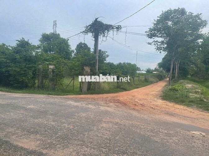 CẦN BÁN LÔ ĐẤT 300M2 FULL THỔ CƯ, SÁT KCN TRẢNG BẢNG. GIÁ CHỈ 550 TR
