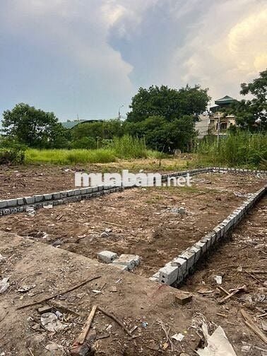 Bán đất Khu tái định cư An Duyên, Tô Hiệu, Thường Tín, Hà Nội