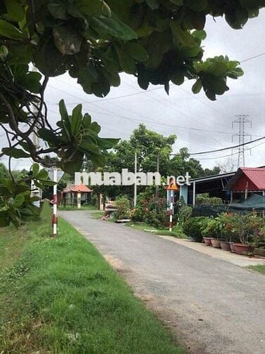 CẦN BÁN LÔ ĐẤT 300M2 FULL THỔ CƯ, SÁT KCN TRẢNG BẢNG. GIÁ CHỈ 550 TR