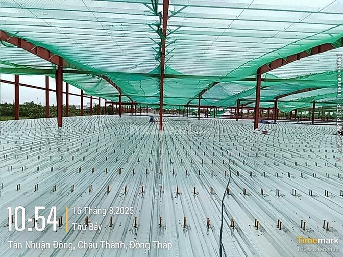 Cung cấp đinh hàn ( đinh chống cắt)