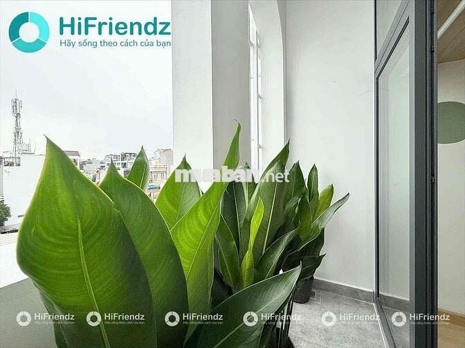CHO THUÊ CHDV CAO CẤP FULL NỘI THẤT GẦN IUH- VLU GÒ VẤP