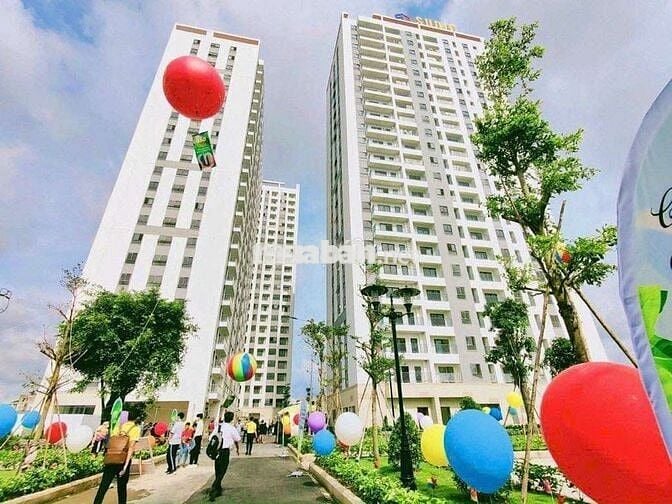 Iris Tower, 59,4 m2, sổ hồng: 450 triệu. Còn góp 20 năm : 1 tỷ