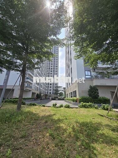 Iris Tower, 59,4 m2, sổ hồng: 450 triệu. Còn góp 20 năm : 1 tỷ
