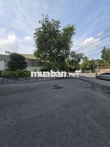 Iris Tower, 59,4 m2, sổ hồng: 450 triệu. Còn góp 20 năm : 1 tỷ