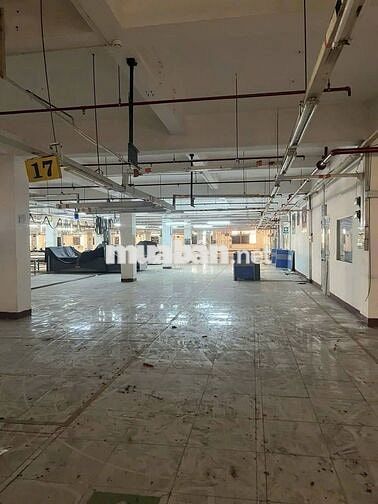cho thuê xưởng sản xuất nghành khu công nghệ cao , KCX tân thuận Q7