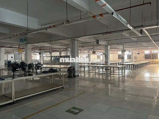 cho thuê xưởng sản xuất nghành khu công nghệ cao , KCX tân thuận Q7