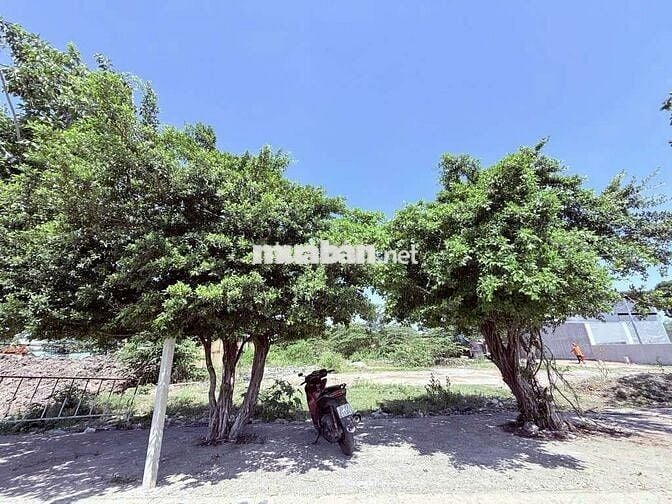 Bán Lô Đất Mặt Tiền thổ cư 147m gần Cầu Vượt Tỉnh Lộ 10 giáp quận 6