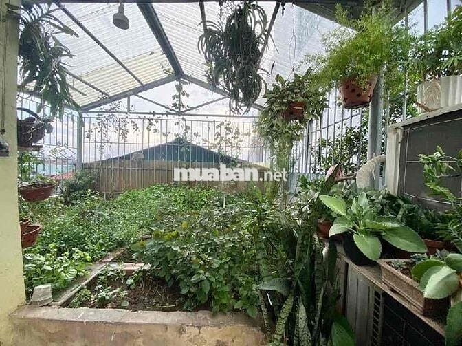 Bùi Xương Trạch Thanh Xuân 5m ra oto nhà mới đẹp 38m x 6 tầng