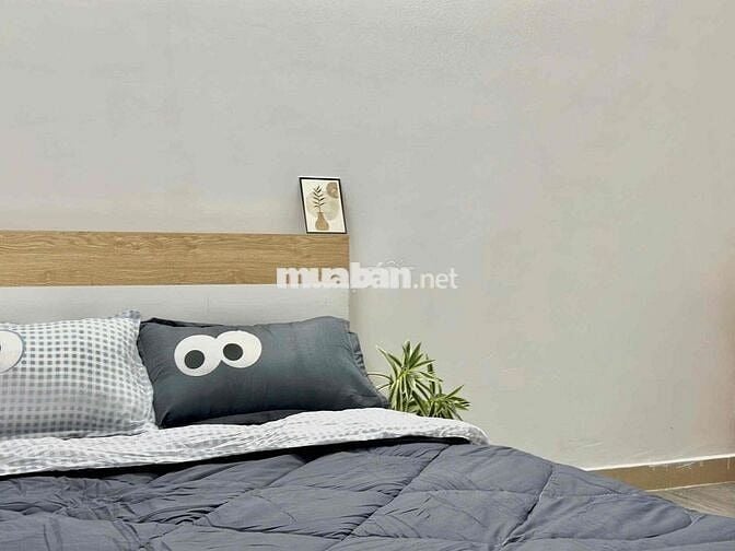 CHO THUÊ STUDIO 30m2 - CV HOÀNG VĂN THỤ - LÊ VĂN SỸ - VAA - VHU - UEH