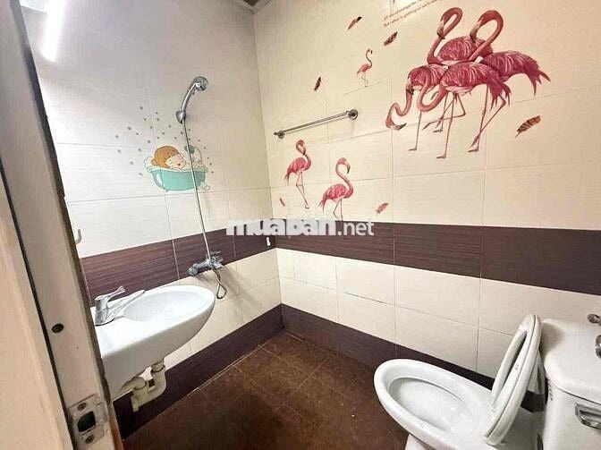 CHDV giữ đến đầu tháng 9 Gần UEH có gác ban công cửa sổ