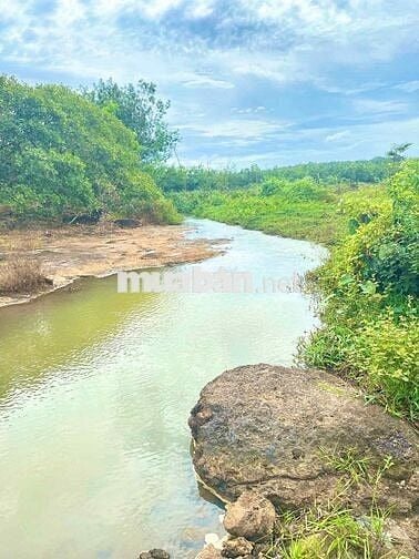 1500m2 đất full hồng thổ cư, view suối mát mẻ, giá bể ngộp 690tr