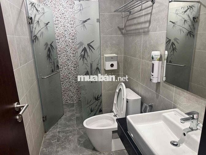 CHO THUÊ CĂN HỘ CHUNG CƯ C_Skyview Chánh Nghĩa Thủ Dầu BD