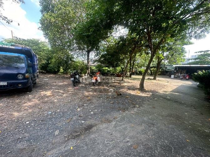 Cho thuê 2900 đất nền mặt tiền đường ký dài hạn 