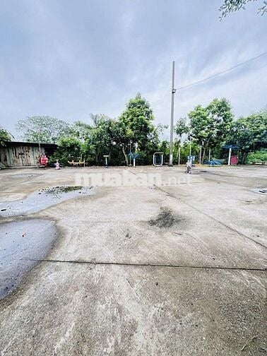 Bán đất Kiêu Kỵ 50,5m2 gần Vinhomes Ocean Park giá dưới 3 tỷ