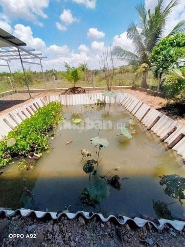 CHỦ CẦN BÁN NHÀ 736M2 PHÁP LÝ ĐẦY ĐỦ SỔ HỒNG SANG TÊN NGAY