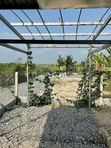 CHỦ CẦN BÁN NHÀ 736M2 PHÁP LÝ ĐẦY ĐỦ SỔ HỒNG SANG TÊN NGAY