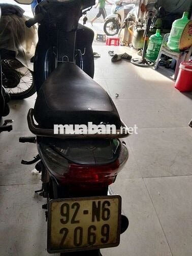 Xe cọp