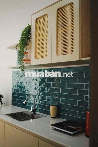cho thuê phòng studio biệt thự cao cấp