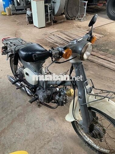 xe cub 50cc không cần bằng lái để đi vườn