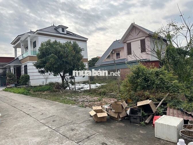 Bán đất Thanh Lâm, Mê Linh, HN. Gần chợ Hoa Quả Mê Linh. Chợ đầu mối
