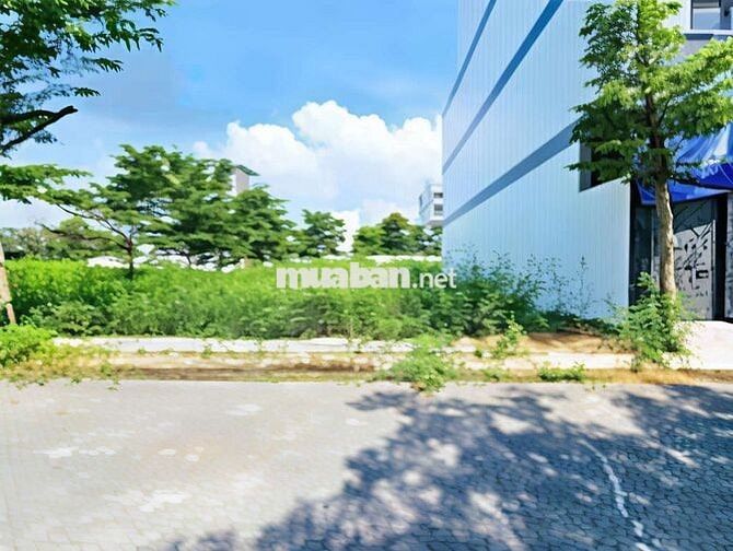 Bán Đất tại Đào Tông Nguyên, Nhà Bè, giá cực chất