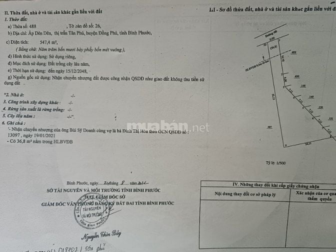 Cơ hội đầu tư đất TT ở Đồng Phú trong tầm tay 