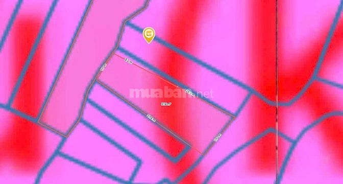 Bán Đất ở+màu 443m2 Huỳnh Minh Mương(Ấp 4)P.H.Phú, H.C.Chi giá 2.78 tỷ