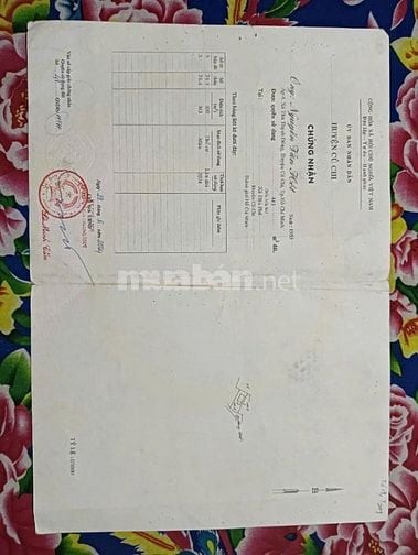 Bán Đất ở+màu 443m2 Huỳnh Minh Mương(Ấp 4)P.H.Phú, H.C.Chi giá 2.78 tỷ