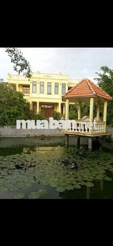 BẤT ĐỘNG SẢN ĐẶC BIỆT TẠI HIỆP PHƯỚC, NHÀ BÈ, TP.HCM