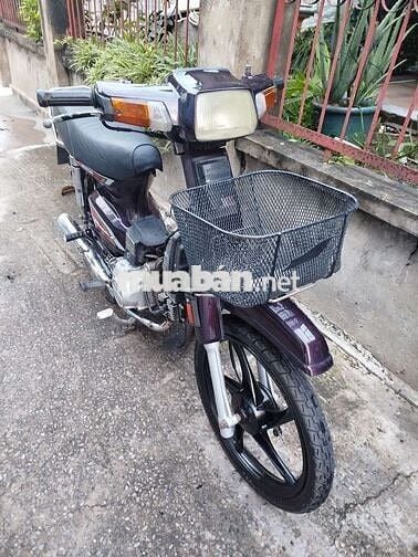 Citi đi làm đi chơi