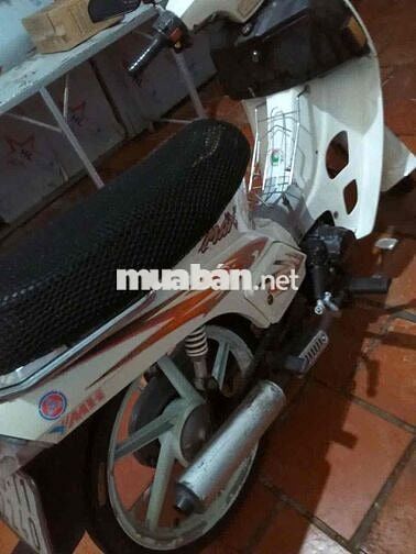 xe max cũ 100cc