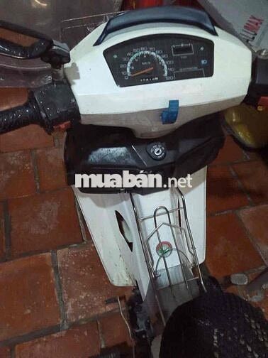 xe max cũ 100cc