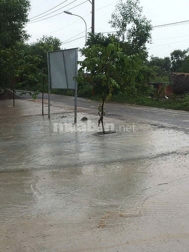 Cần Bán Nhanh Lô Đất 7000m² (Có 300m² Thổ Cư) Kèm Nhà Cấp 4, Mặt Tiền
