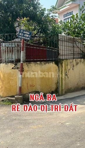 CHÍNH CHỦ CẦN BÁN LÔ Đất Tại Xuân Đồng, Tân Minh, Sóc Sơn, Hà Nội