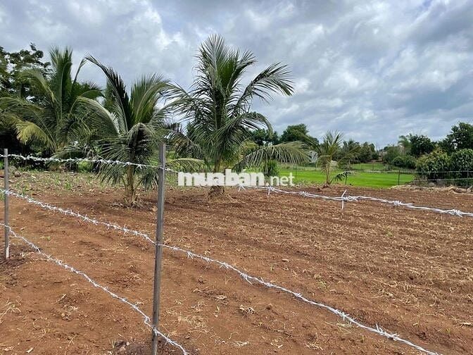 CHỦ KẸT TIỀN HẠ GIÁ 200tr CHỐT CỨNG 1Tỷ4