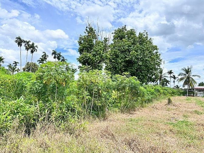 CHÍNH CHỦ ĐẤT Ở, ĐẤT KINH DOANH 