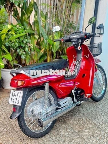 honda dream lùn thái bso 43 xe ken mới full rin