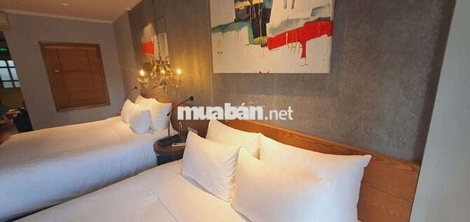9 tầng thang máy Nguyễn Quang Bích Hoàn Kiếm 52,8Ty 66m2 mặt 4.6m