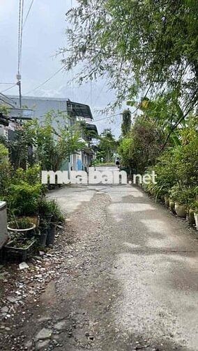 🌾🌾🌾BÁN CẶP NỀN KẾ BÊN LỘ 40 M, GẦN TRẦN QUANG DIỆU, BÌNH THỦY TPCT   D