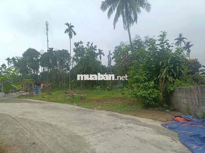 Bán đất Hoà Sơn, Đà Nẵng sát đường nhựa"