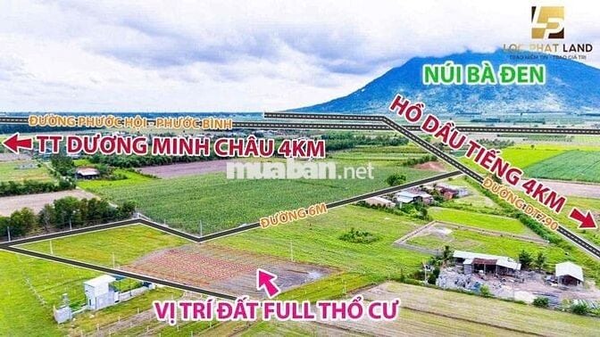 12 lô full thổ cư sổ sẵn tại Dương Minh Châu Tây Ninh