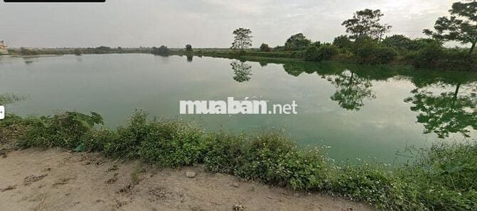 Bán đất nông trường Thành Tô - Hải Phòng 200 ha