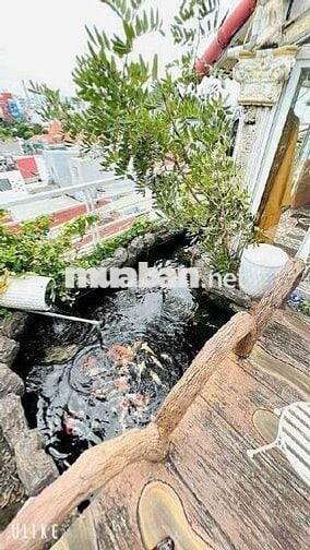 NHÀ THIẾT KẾ ĐỘC ĐÁO CÁCH LÂM VĂN BỀN 3P ĐI BỘ
