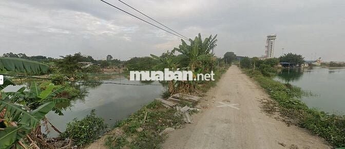 Bán đất nông trường Thành Tô - Hải Phòng 200 ha