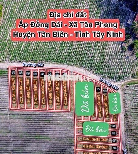 12 lô full thổ cư tại Tân Phong Tân Biên Tây Ninh